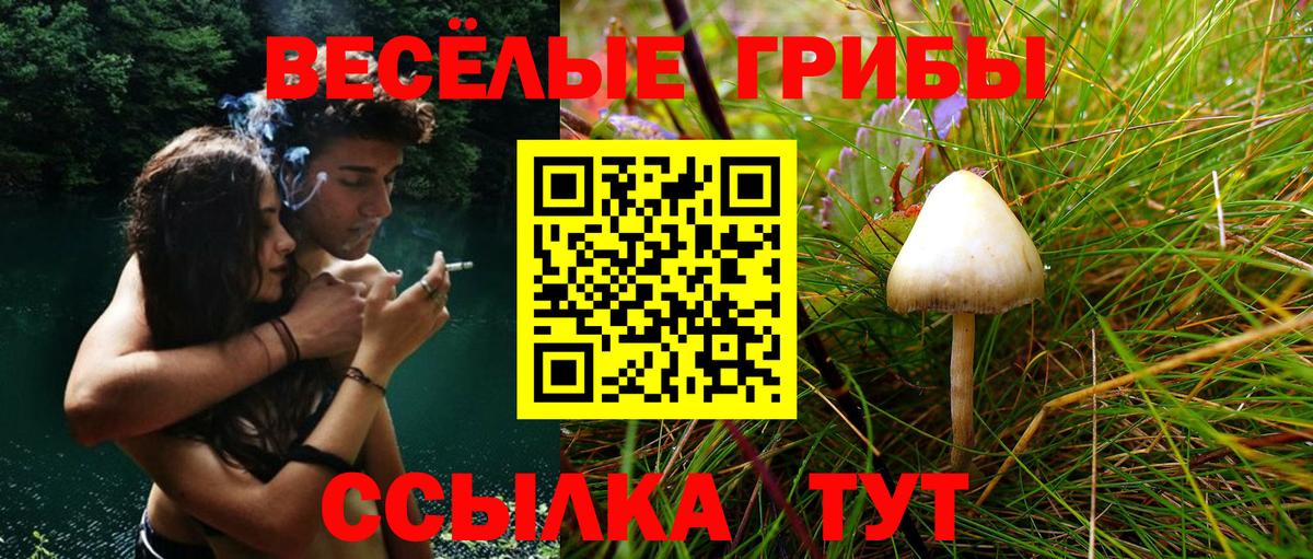Галлюциногенные грибы MAGIC MUSHROOMS  Вход с VPN  Советская Гавань 